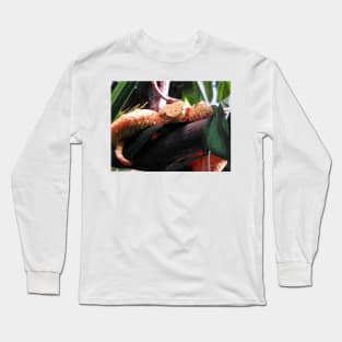 Eyelash Viper Long Sleeve T-Shirt